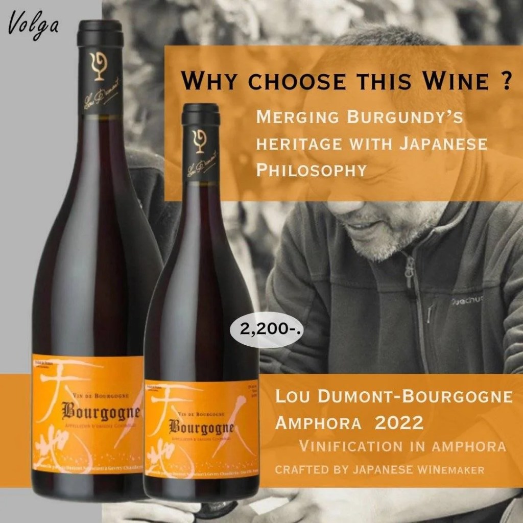 (diamond) Lou Dumont-Bourgogne Amphora 2022 

(diamond) การผสานที่ลงตัวระหว่าง มรดกแห่งเบอร์กันดี และ ปรัชญา ZEN แบบญี่ปุ่น สะท้อนความละเอียดอ่อน ความประณีต และลึกซึ้งในทุกหยด

🎗 ไวน์บูร์กอญแท้ ที่ Vinification in Amphora (หมักในโอ่งดินเผา) เพื่อคงความเป็นธรรมชาติและรสชาติที่ซับซ้อน

🎗รักษาความเป็นธรรมชาติสูงสุดของ Terrior ไม่แทรกแซงการผลิตและรสชาติ

🎗 รสสัมผัสสมดุล กลมกล่อม สง่างาม 

🎗Owned & Crafted by a Japanese Winemaker – ประณีต ละเมียดละไมแบบญี่ปุ่น 

(diamond)นี่ไม่ใช่เป็นแค่ไวน์ แต่คืองานศิลป์ที่บรรจุในขวด