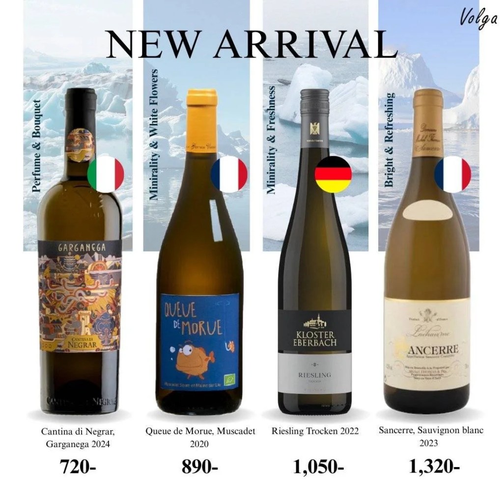 หลายคนอาจชอบไวน์แดงรสเข้มและซับซ้อน แต่ถ้าคุณมองหาความสดชื่น ดื่มง่าย และเหมาะกับทุกโอกาส ไวน์ขาวคือคำตอบ

🏆 ข้อดีของไวน์ขาว

🎗สดชื่นและดื่มง่าย : รสชาติเปรี้ยวหวานสดใส ไม่หนักเกินไป

🎗เหมาะกับอากาศร้อน : แช็นเย็นแล้วสดชื่น เหมาะกับเมืองร้อน

🎗เข้ากับอาหารหลากหลาย : เหมาะกับอาหารไทยแทบทุกประเภท

🎗แคลอรีน้อยกว่าไวน์แดง : เรื่องสุขภาพ ไวน์ขาวเป็นทางเลือกที่ดี

🎗เหมาะกับผู้เริ่มดื่มไวน์ : รสชาติชาติเบา เข้าใจง่ายและสนุก

🏆 ไวน์ขาวไม่ได้มีแค่ความหรูหรา แต่มีชีวิตชีวา มีเสน่ห์ที่เข้าถึงได้ง่าย